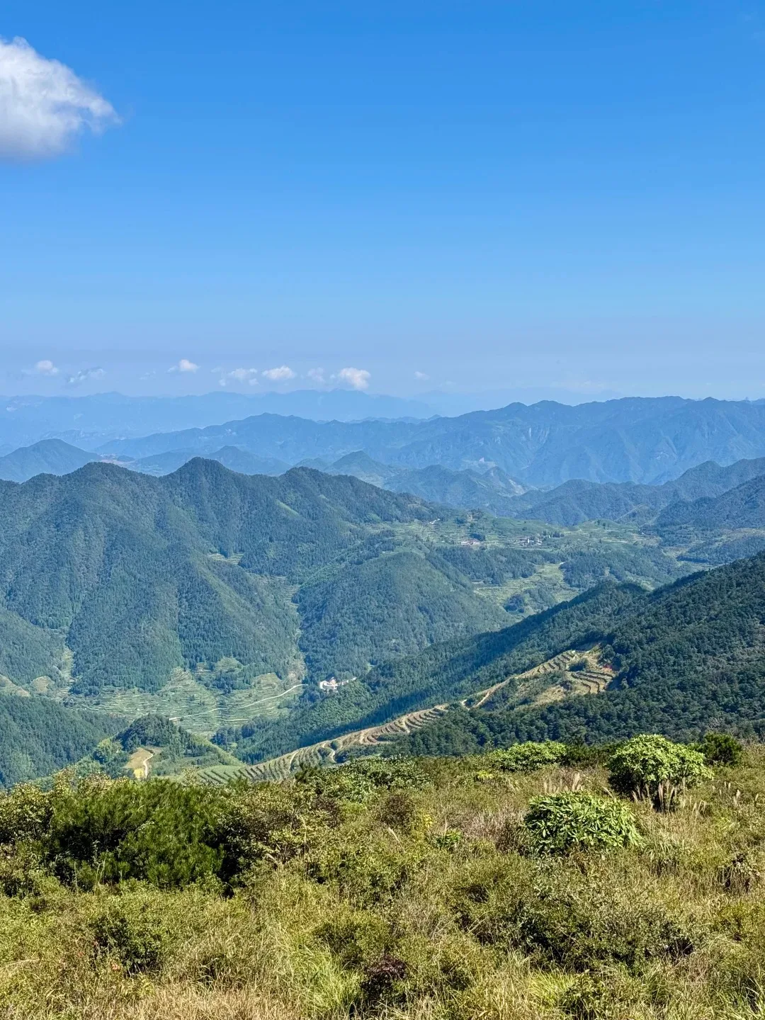 大洋山高山草甸